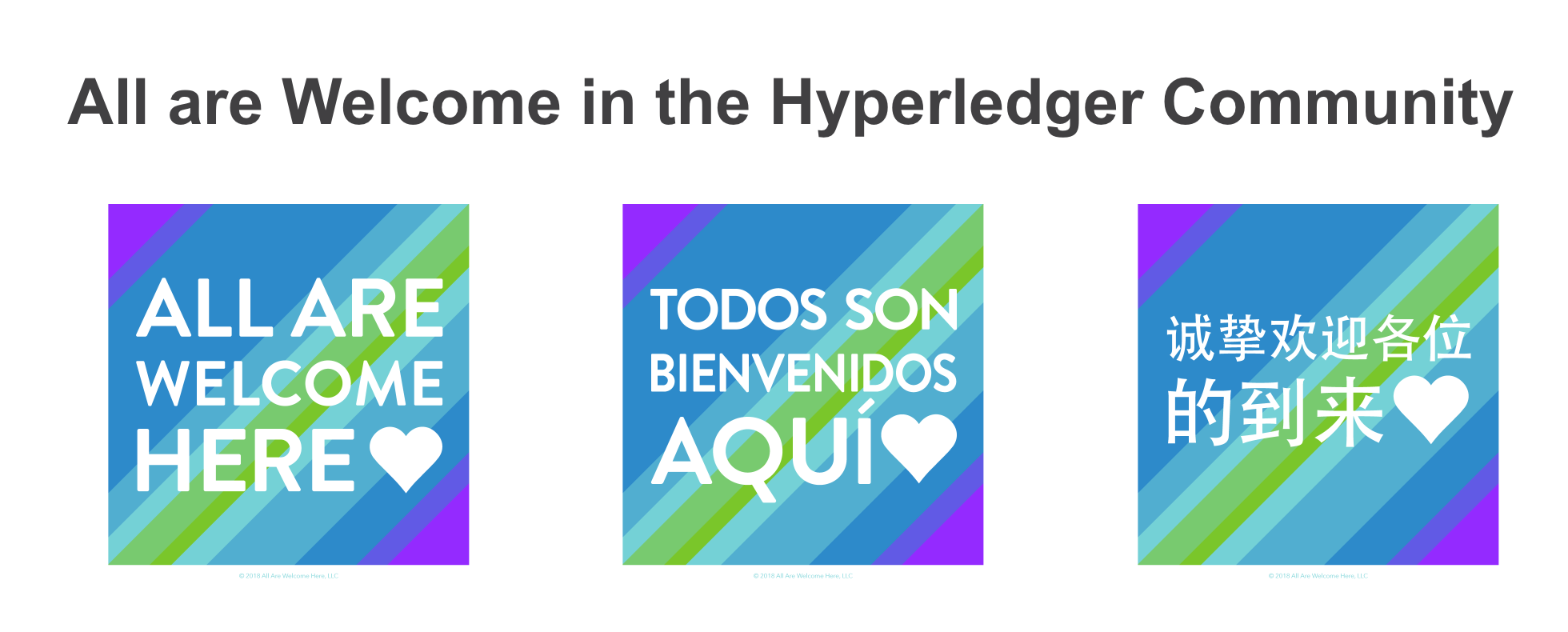 All are Welcome in the Hyperledger Community